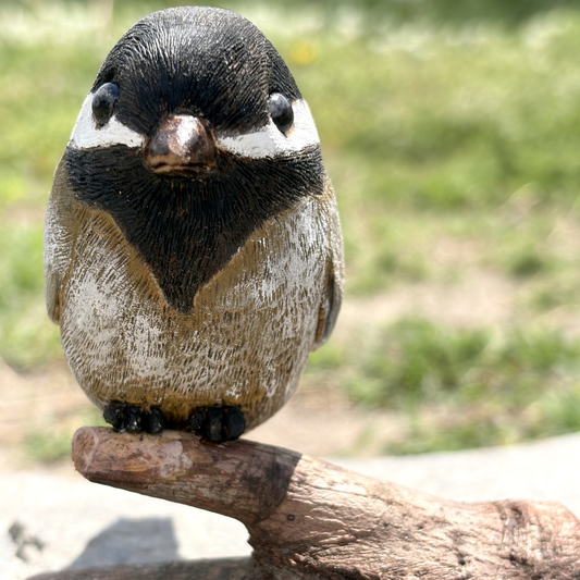 Hand Carved Carolina Chickadee