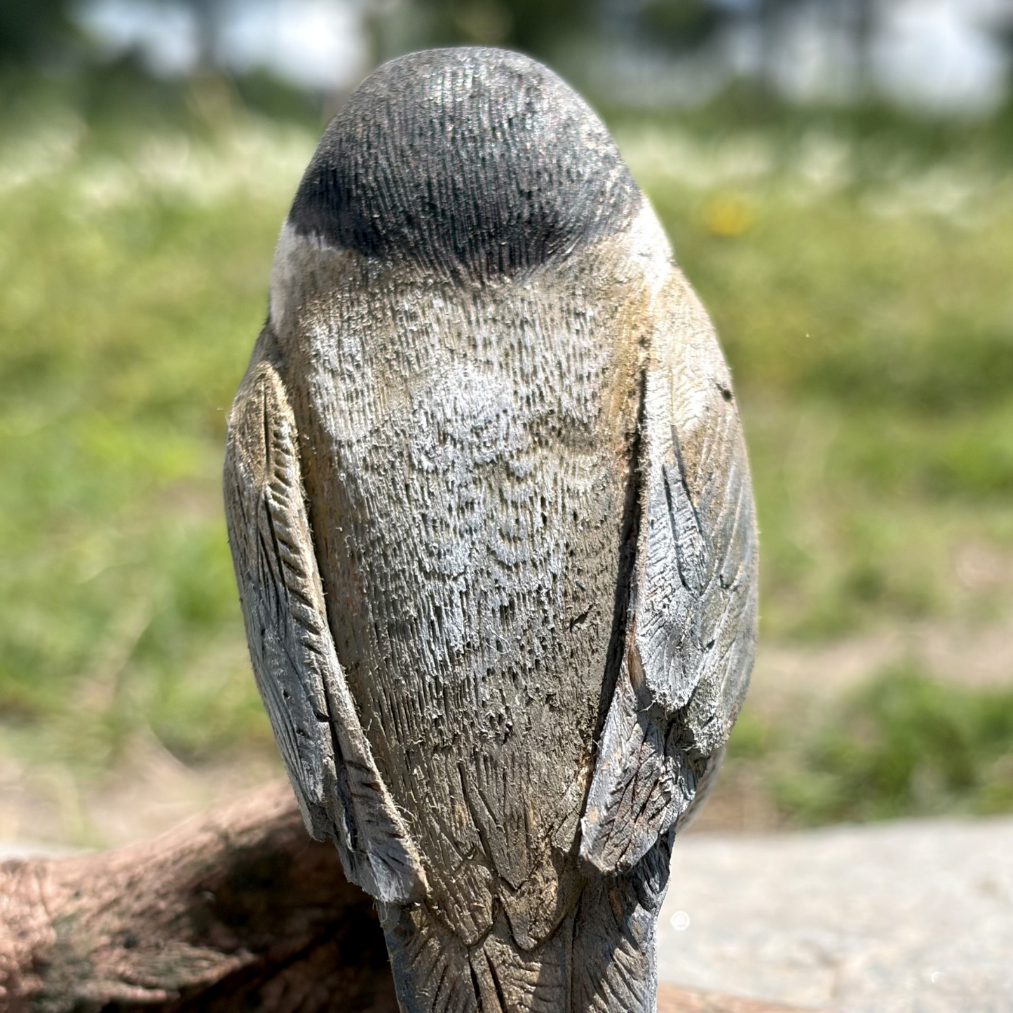 Hand Carved Carolina Chickadee