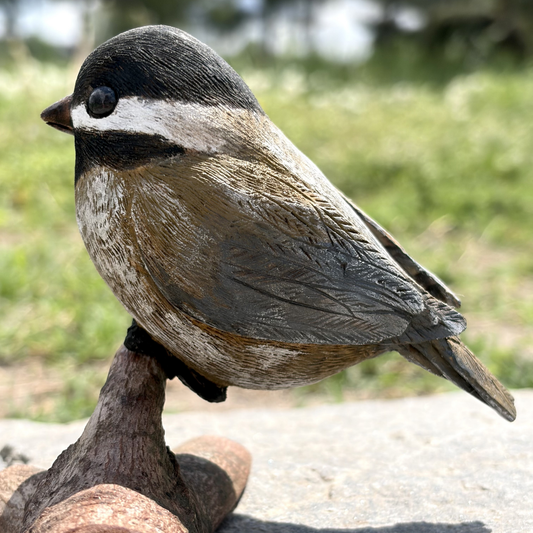 Hand Carved Carolina Chickadee